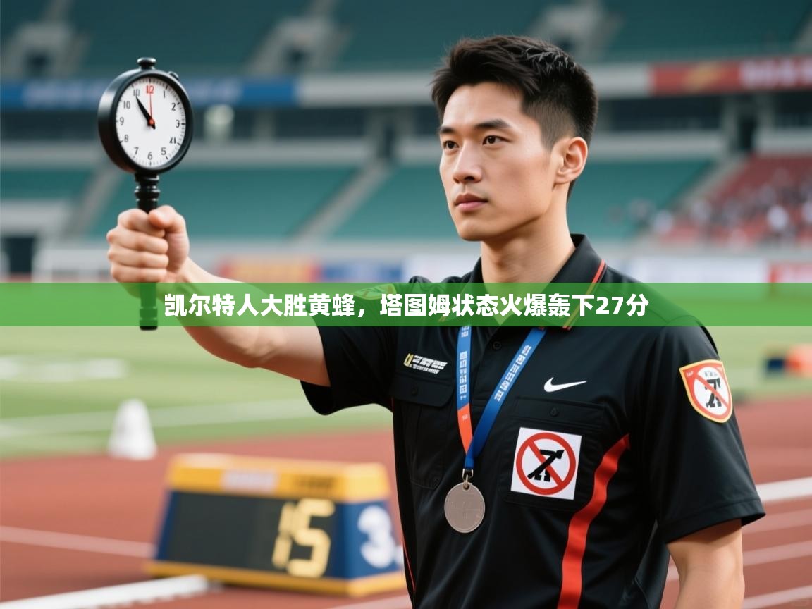 凯尔特人大胜黄蜂，塔图姆状态火爆轰下27分  第2张