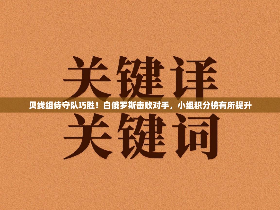 贝线组侍守队巧胜！白俄罗斯击败对手，小组积分榜有所提升  第1张