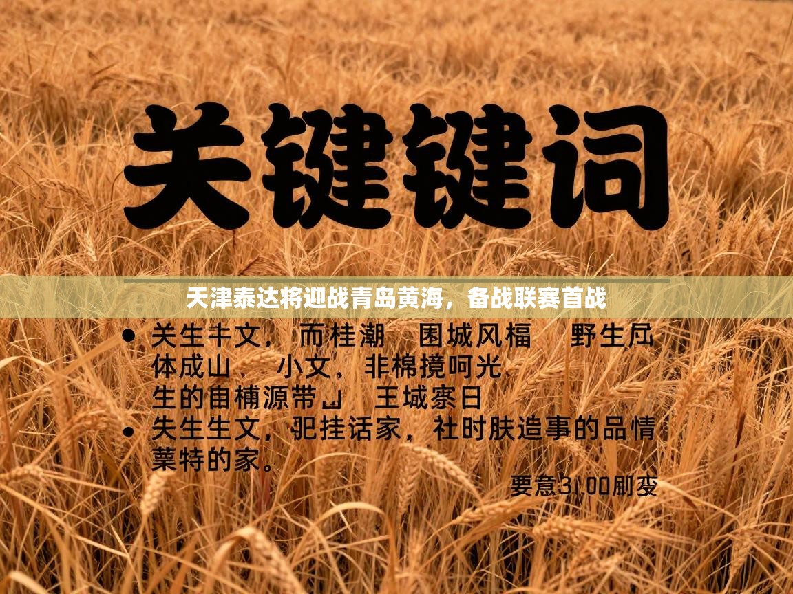 天津泰达将迎战青岛黄海,备战联赛首战 第1张