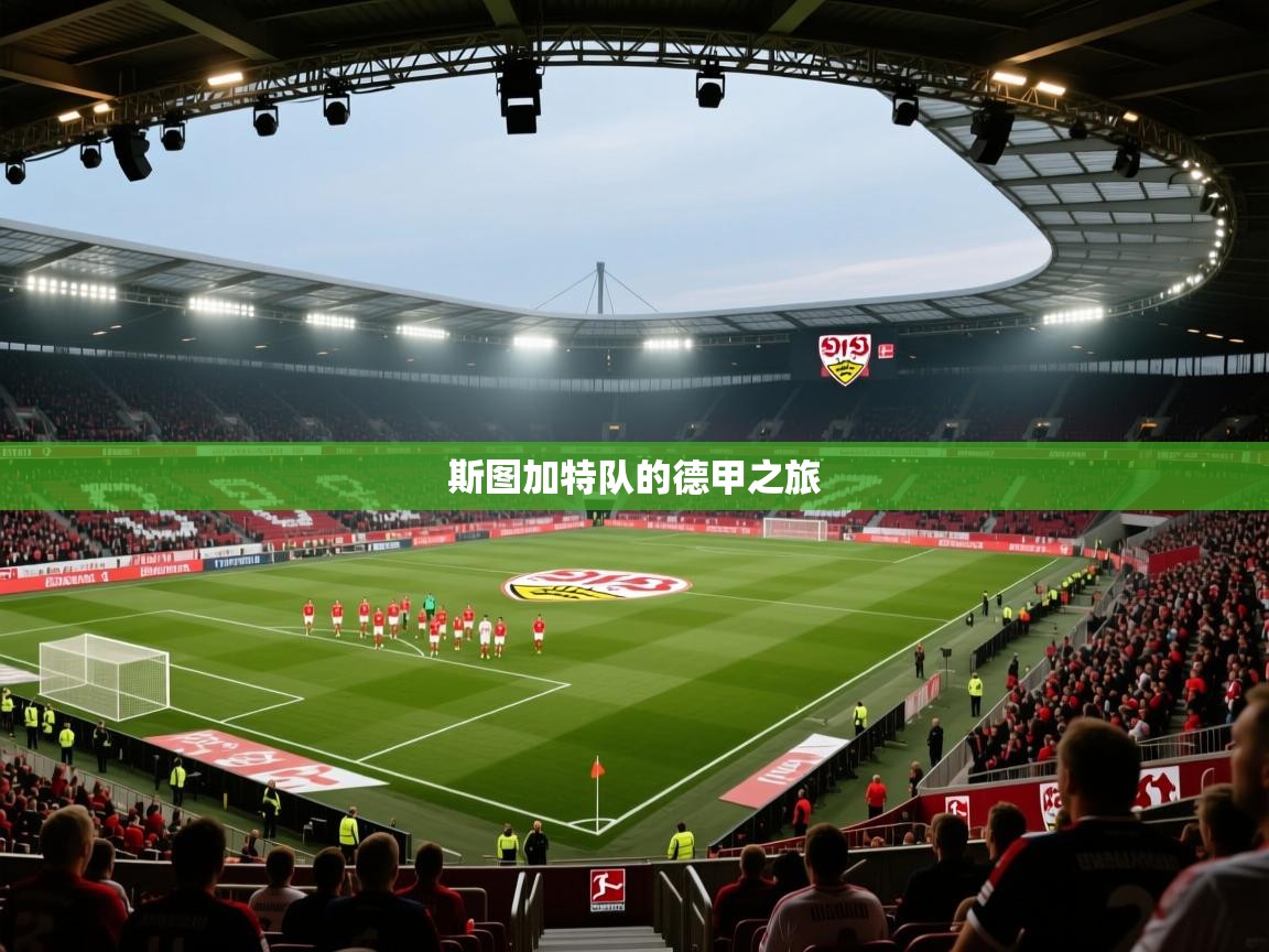 斯图加特队的德甲之旅  第2张